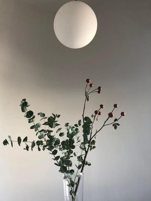 Big Bright Cozy Studio Apartment In Nolo Near Mm1 Μιλάνο Εξωτερικό φωτογραφία